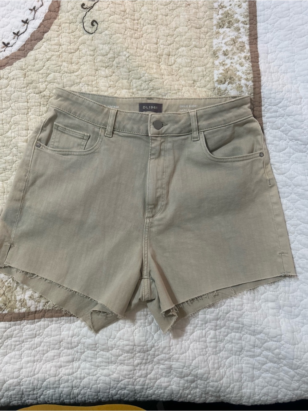DL1961 shorts